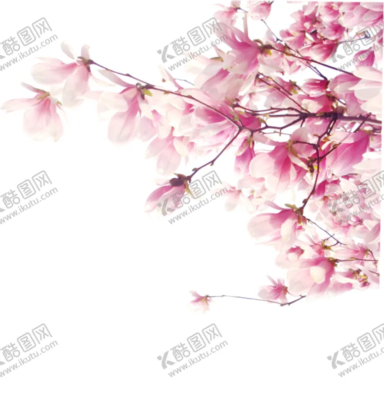 编号：25634209100142302970【酷图网】源文件下载-手绘桃花