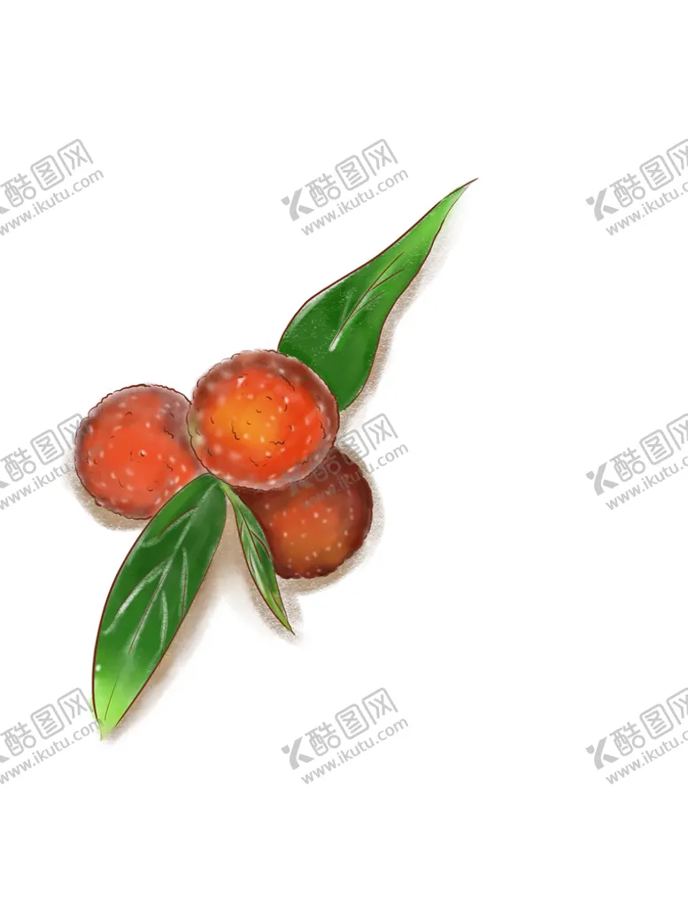 编号：58750210170329318545【酷图网】源文件下载-杨梅素材