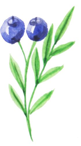 彩绘枝叶植物景观花纹花艺绿意浓浓