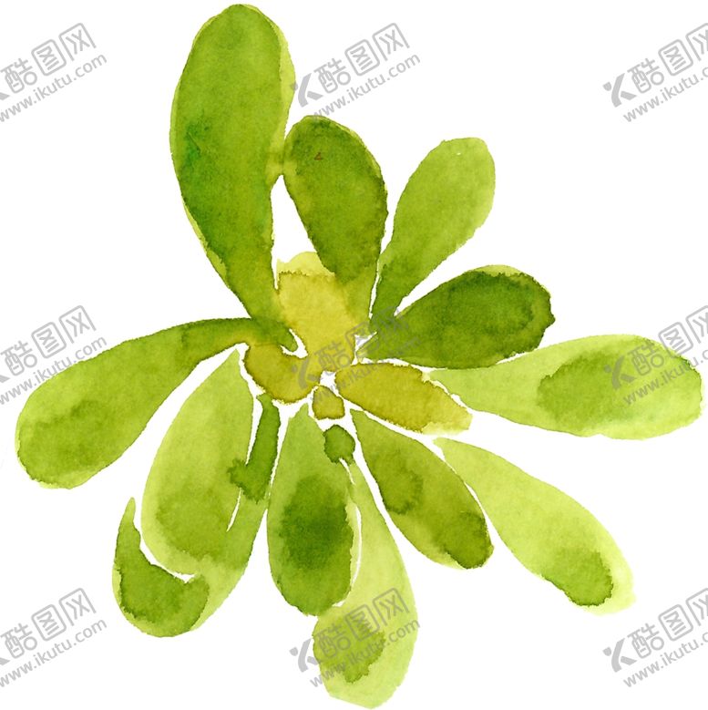 编号：45453205180236498665【酷图网】源文件下载-水彩植物