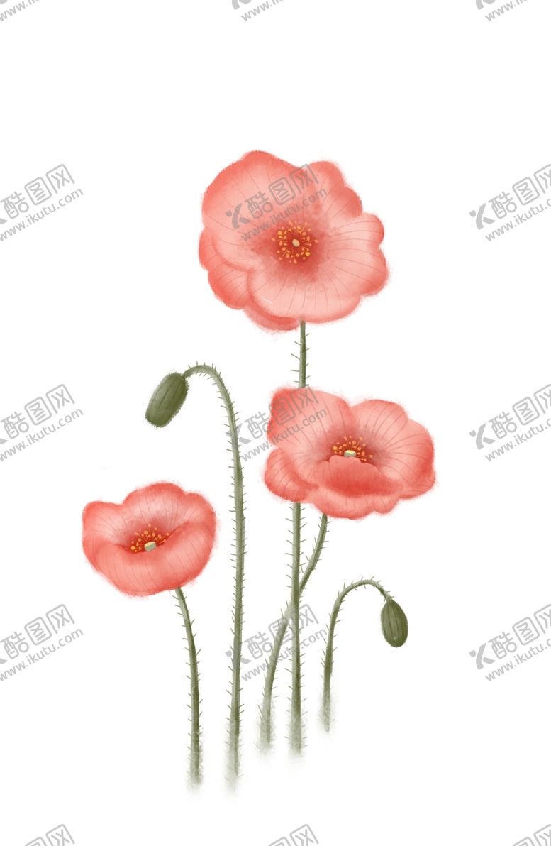 编号：73548610200926172208【酷图网】源文件下载-虞美人水彩