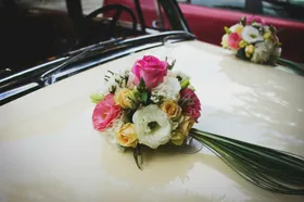 玫瑰花卉爱情花摄影