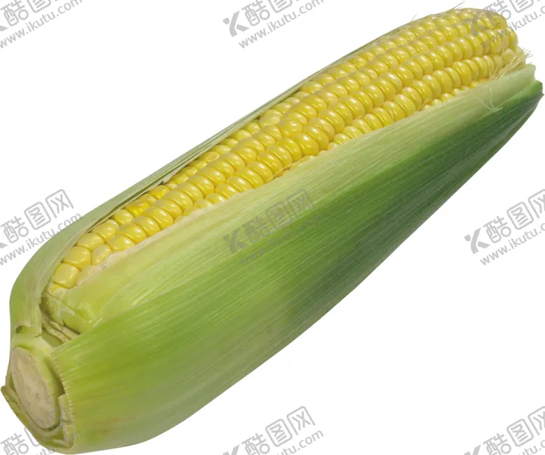 编号：24046502131531211901【酷图网】源文件下载-玉米图片