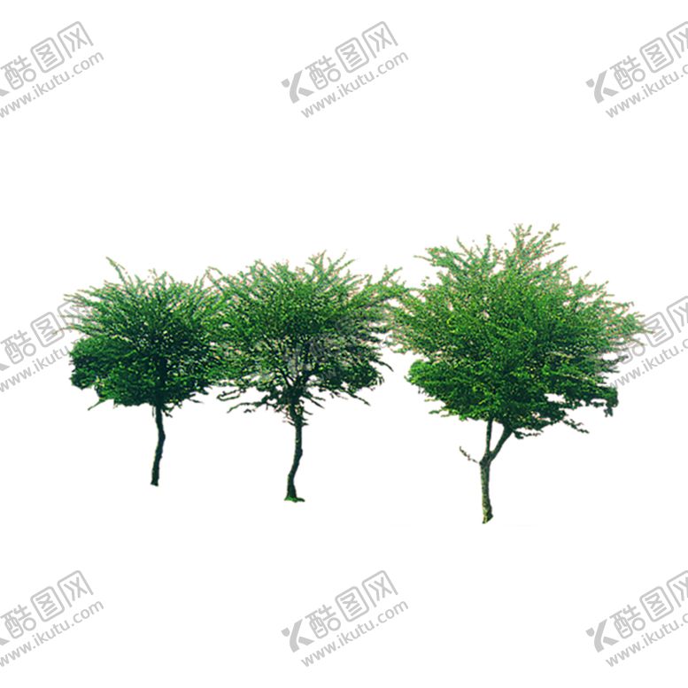 编号：13079807040027549893【酷图网】源文件下载-绿色植物
