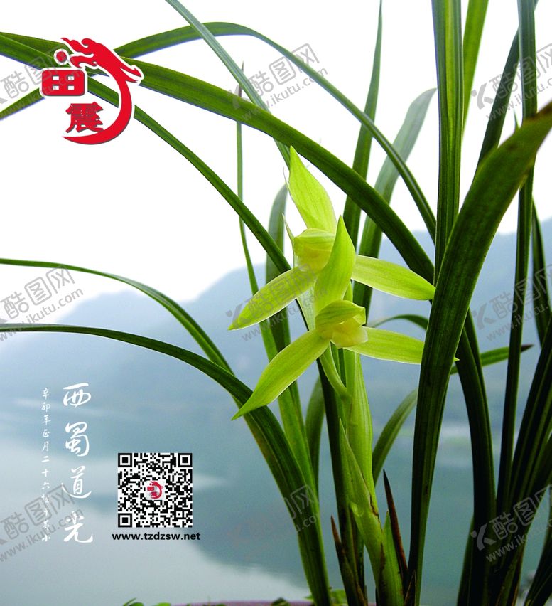 编号：71392809270919083185【酷图网】源文件下载-植物背景