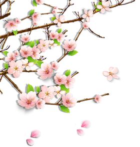 花卉草小清新浪漫