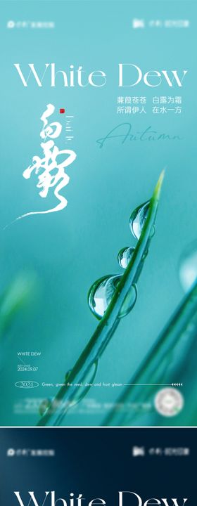 白露节气海报水珠叶子房地产