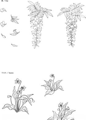 日本线描植物花卉矢量素材