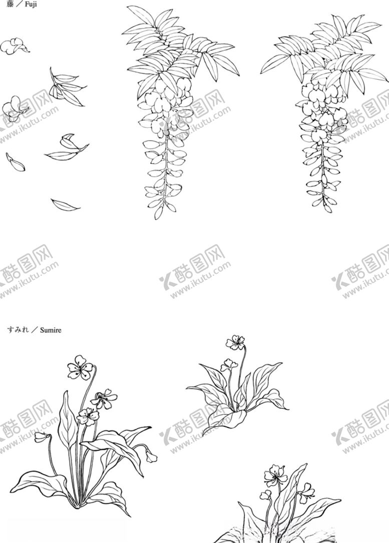 编号：57591707080850575609【酷图网】源文件下载-日本线描植物花卉矢量素材