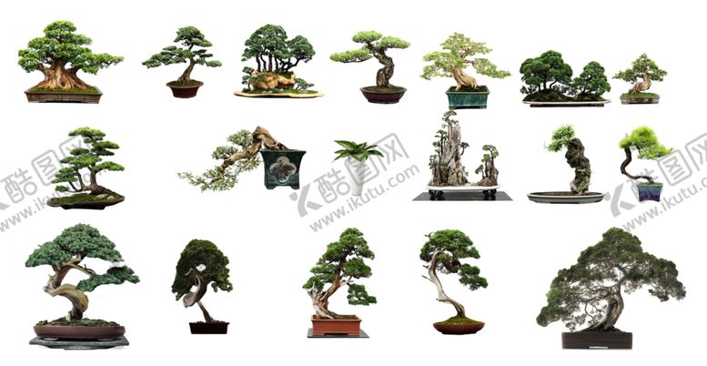 编号：48600209290857045814【酷图网】源文件下载-绿植