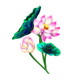 荷花元素鲜装饰叶叶