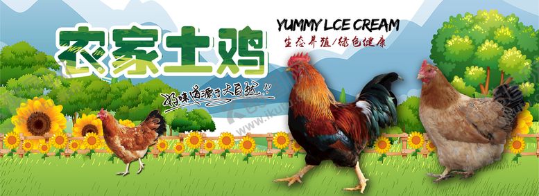 编号：68923709302050500618【酷图网】源文件下载-土鸡