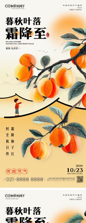 霜降节气海报柿子二十四插画