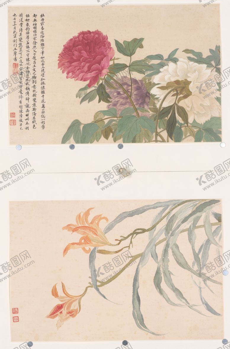 编号：21731807061459196303【酷图网】源文件下载-清代恽寿平花草绘画