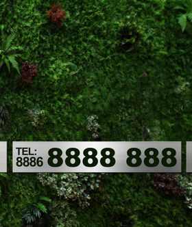 样板房围墙绿植墙3号户型