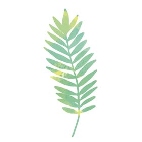 绿色水彩植物树叶