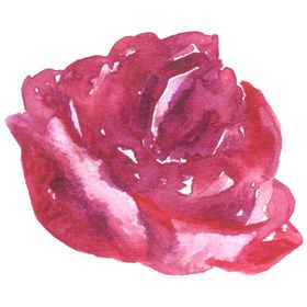 北欧小清新水彩花朵插画