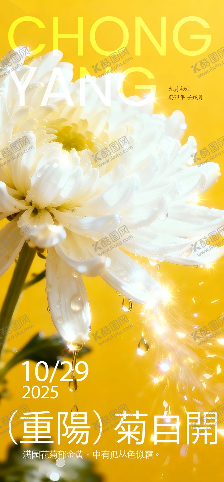 编号：36278810292312353172【酷图网】源文件下载-重阳节海报