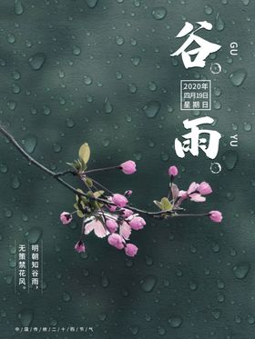 谷雨海报设计