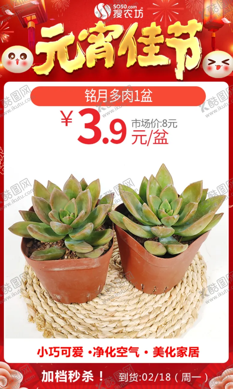 编号：67417605081428522546【酷图网】源文件下载-元宵铭月多肉