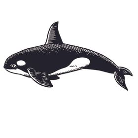 海洋生物鱼类图案