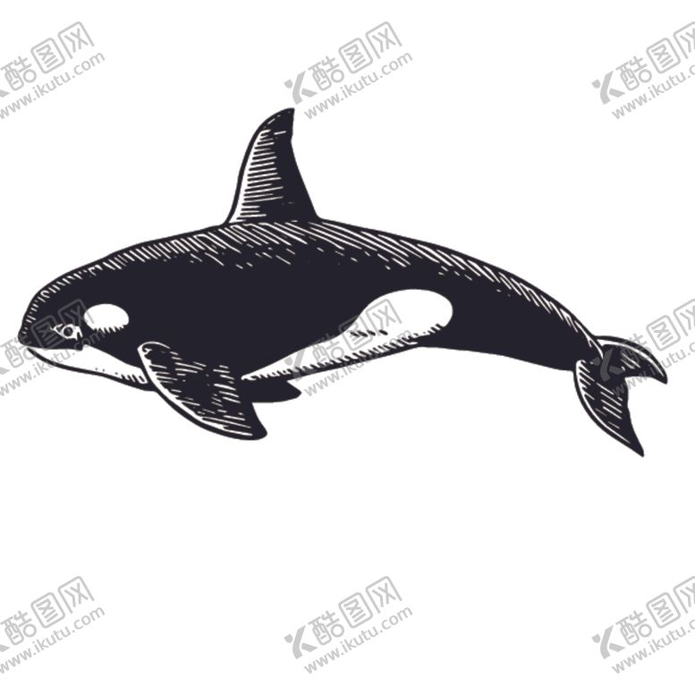 编号：71047710270138191723【酷图网】源文件下载-海洋生物鱼类图案