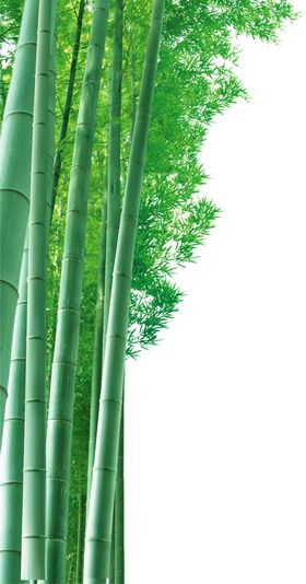 水墨竹子