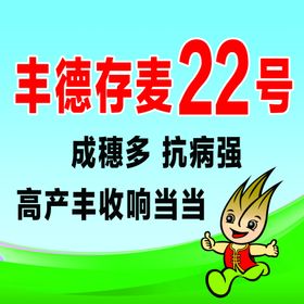 麦种