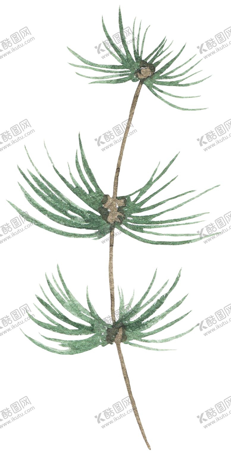编号：10912510271747467981【酷图网】源文件下载-小清新水彩植物花朵