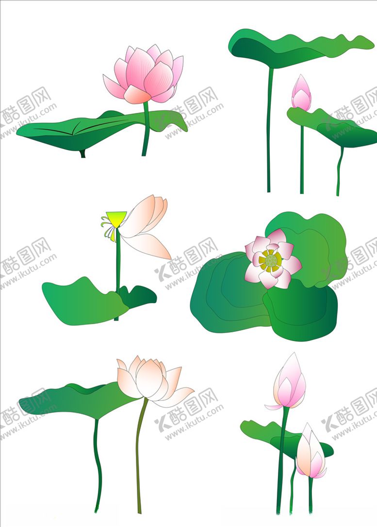 编号：15189909130608393006【酷图网】源文件下载-矢量荷花