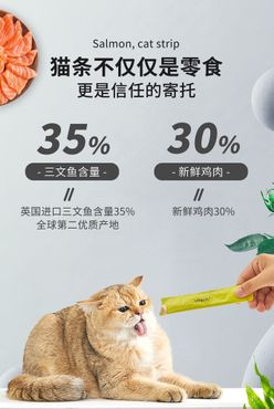 猫条海报宠物猫三文鱼