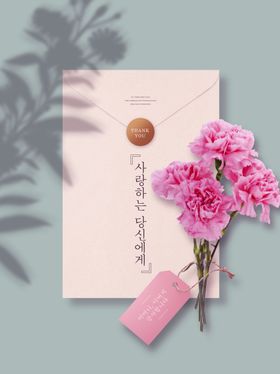 粉色康乃馨与信封浪漫组合