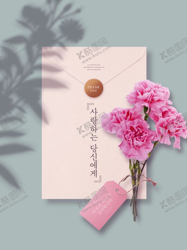 编号：84462804250424181675【酷图网】源文件下载-粉色康乃馨与信封浪漫组合