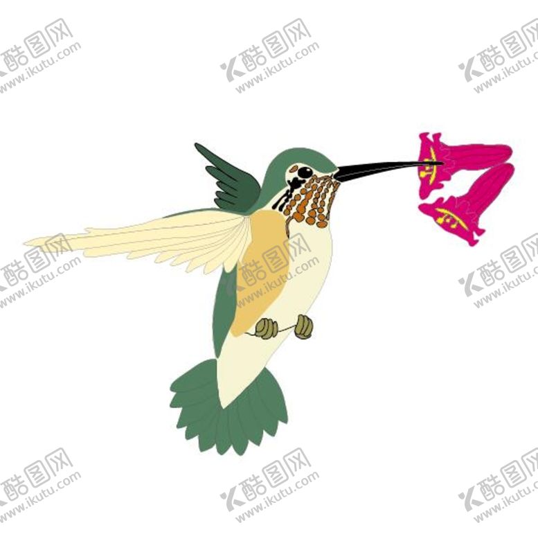 编号：11437010231523291754【酷图网】源文件下载-鸟类