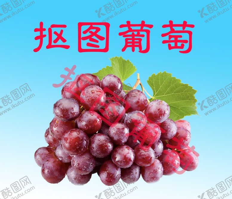 编号：67438210280105416546【酷图网】源文件下载-葡萄