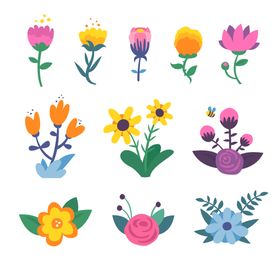 各种花朵手绘植物多彩卉插图束