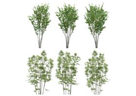 高清植物自抠贴图