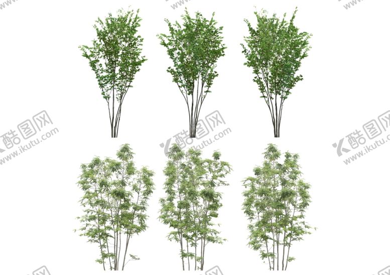 编号：75418710241523286116【酷图网】源文件下载-景观设计高清植物树木素材贴图