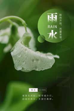 雨水飞机稿