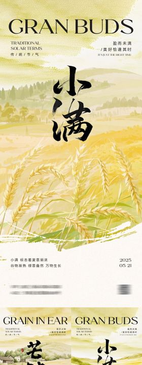 小满芒种海报