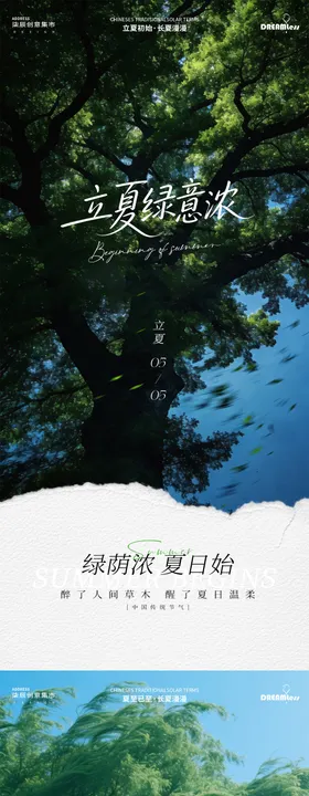 立夏夏至树荫风景简约海报