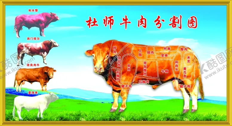 编号：76636304281934372397【酷图网】源文件下载-牛肉馆牛肉分割