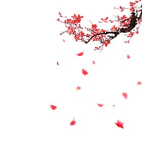 中国风水墨梅