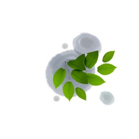 水墨圆环效果泼花簇
