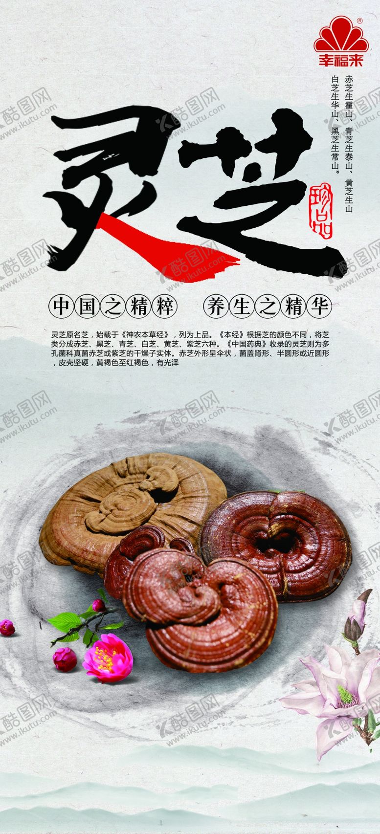 编号：72156507011842177768【酷图网】源文件下载-灵芝