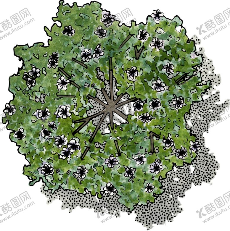 编号：28780006281304305247【酷图网】源文件下载-手绘植物