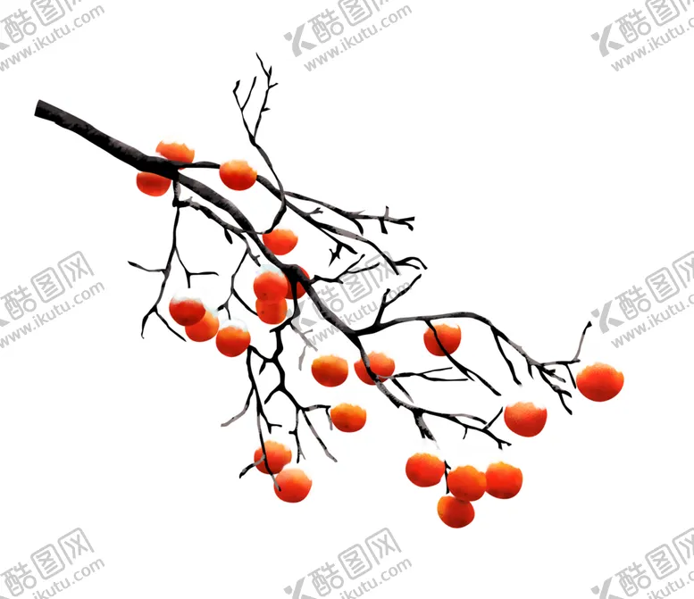 编号：21688204211430565439【酷图网】源文件下载-冬季柿子素材
