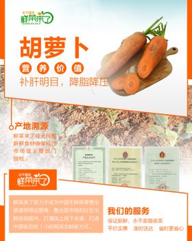 胡萝卜详情页