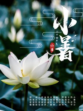 小暑海报