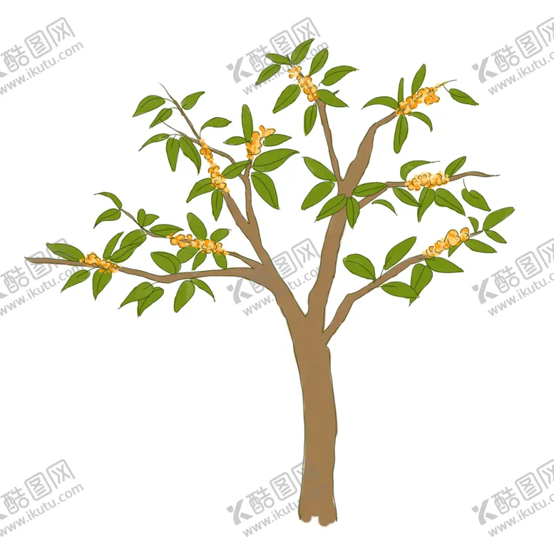 编号：58415501182326343549【酷图网】源文件下载-手绘桂花png免抠素材